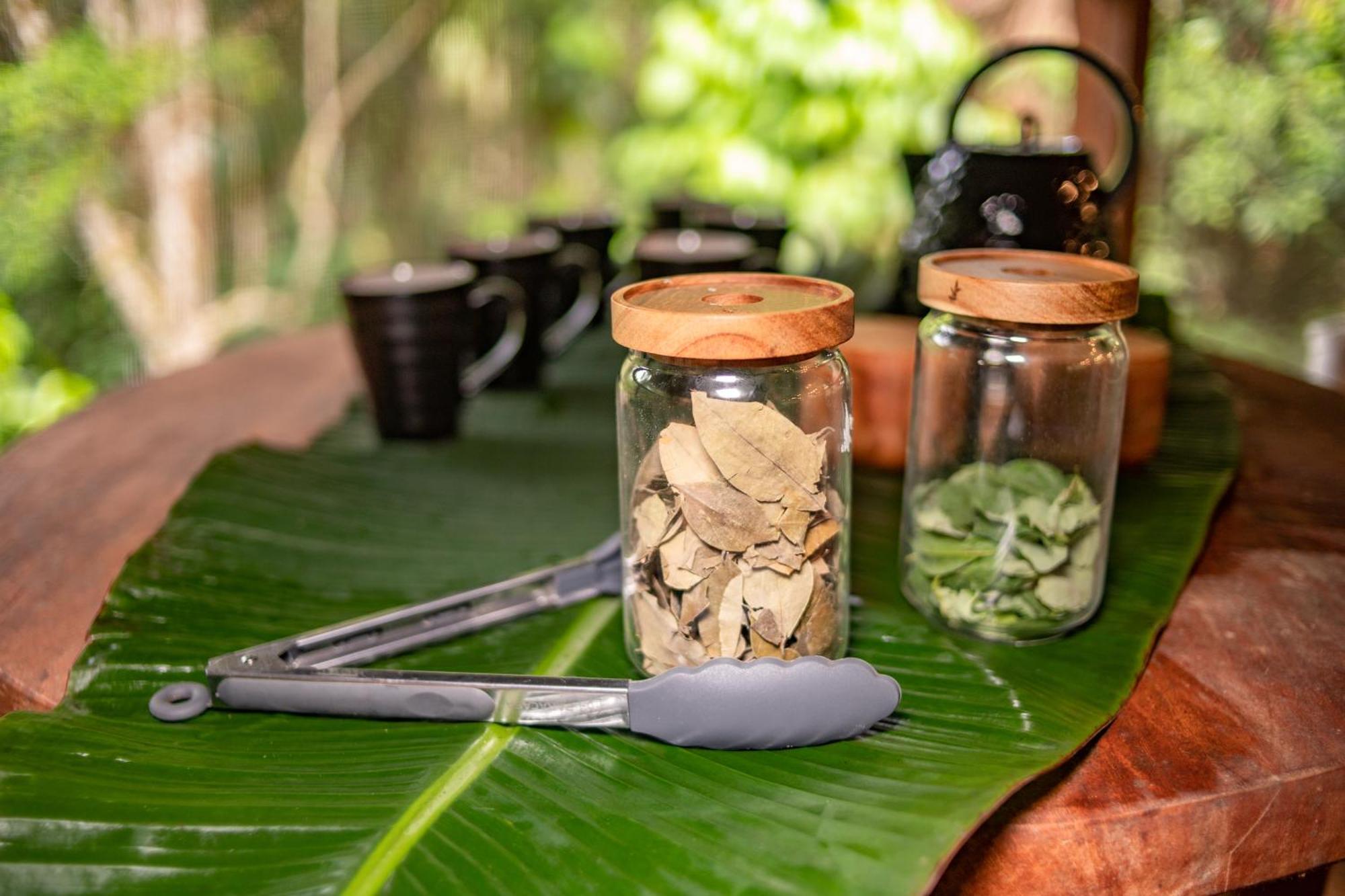 Awaken Amazonian Healing Resort All Inclusive Iquitos Exteriér fotografie
