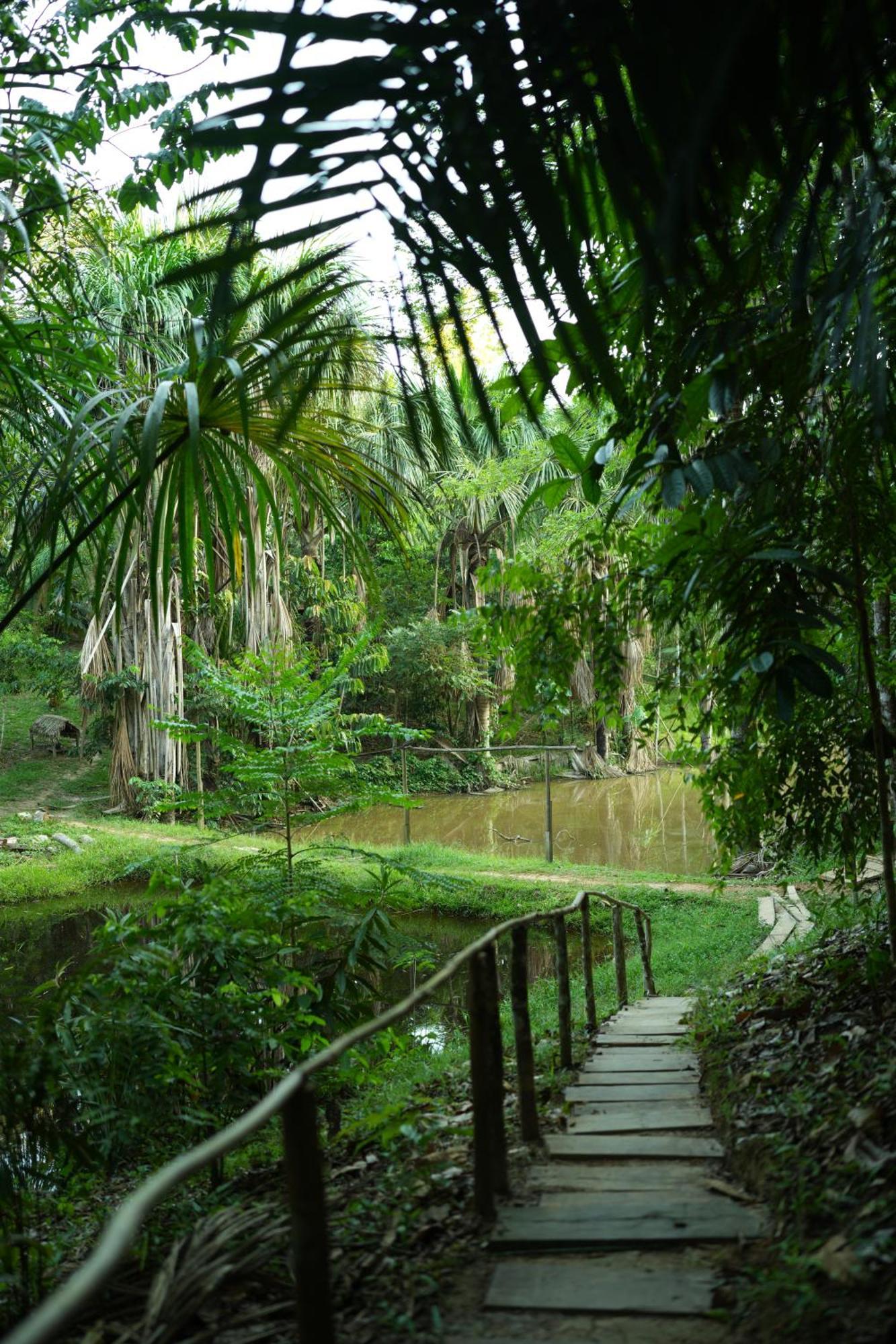 Awaken Amazonian Healing Resort All Inclusive Iquitos Exteriér fotografie