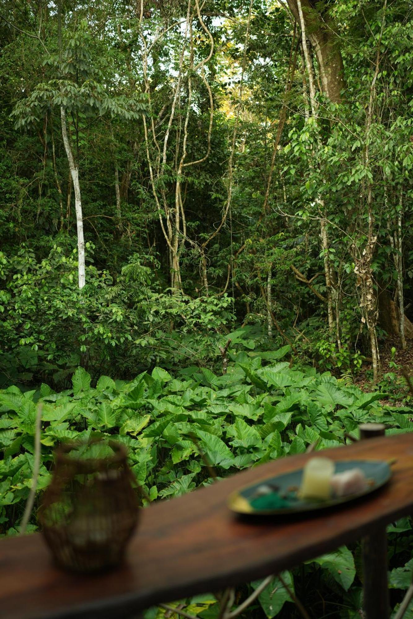Awaken Amazonian Healing Resort All Inclusive Iquitos Exteriér fotografie
